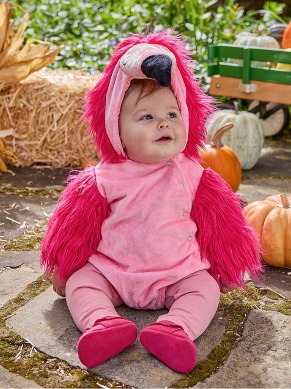 Pottery Barn Kids Baby Flamingo Halloween Costume - Pink